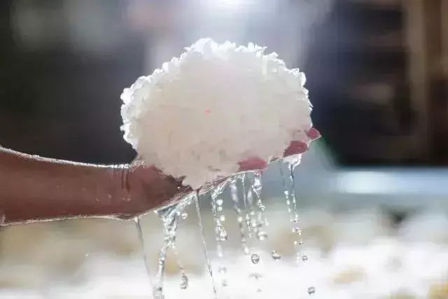 黏液多的食物更養人,常吃這5種,降血脂、抗衰老、增強免疫力