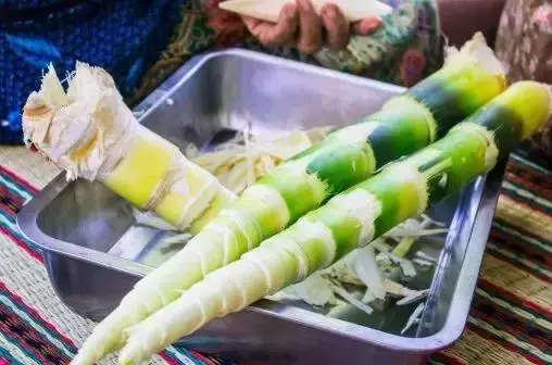 藥補不如食補,日常蔬菜功效一覽表!