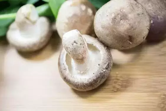 藥補不如食補,日常蔬菜功效一覽表!