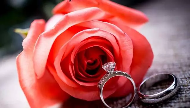 結婚的第二天才知道自己傻,當初在房產證上就不應該加你的名字!