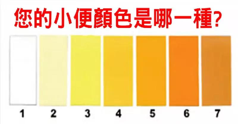 如廁後別急著沖水!「小便」健康學問大,肝腎疾病、糖尿病自己來判斷