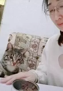 「為了吃罐罐」什麼都能做!喵喵「主動啾一個」:這樣可以嗎~