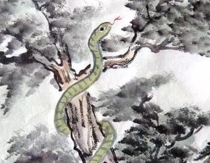 這7大生肖的人,十個有九個是「土豪」