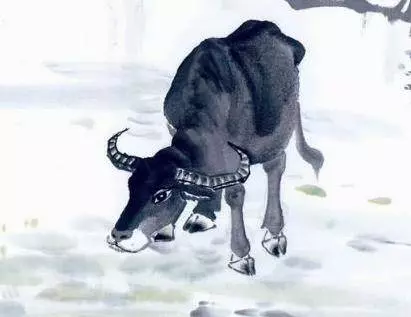 這7大生肖的人,十個有九個是「土豪」