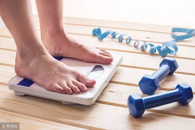 身體基本指數全面看:體脂率、BMI、基礎代謝率