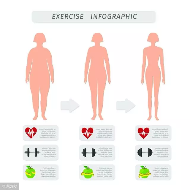 身體基本指數全面看:體脂率、BMI、基礎代謝率