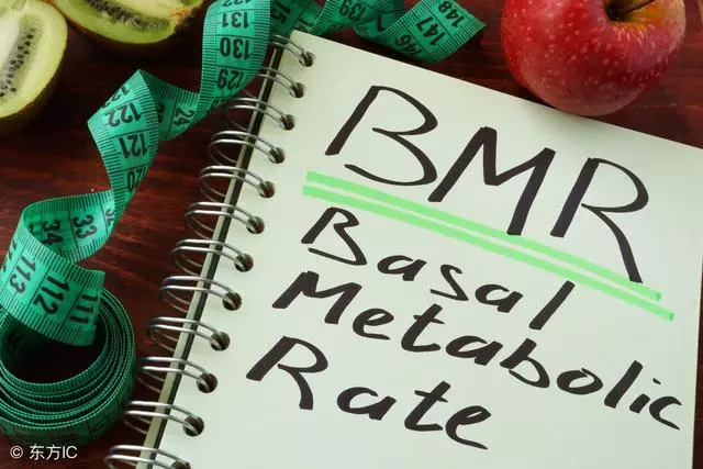身體基本指數全面看:體脂率、BMI、基礎代謝率