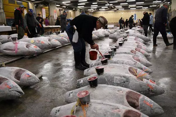 【83年歲月的日本築地市場關閉 】魚販遊客們紛紛不舍