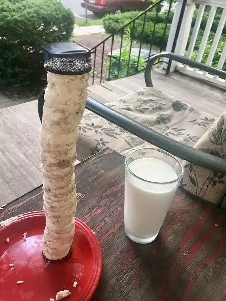 當你太無聊時會如何呢?看看這20位知道如何讓生活變得更有趣的人吧!