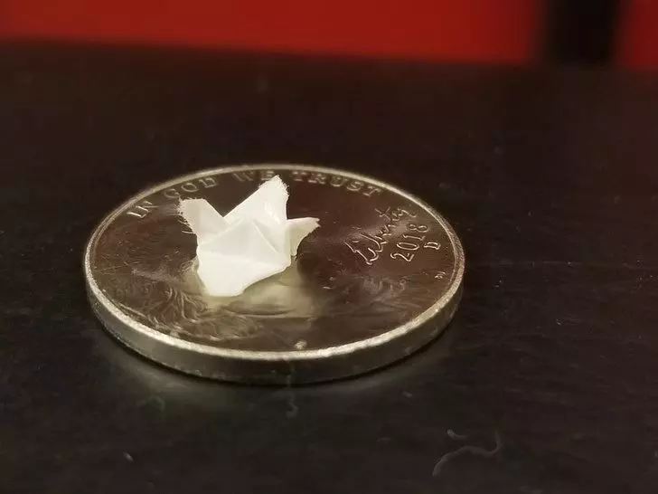 當你太無聊時會如何呢?看看這20位知道如何讓生活變得更有趣的人吧!