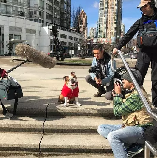 「人不如狗」說的就是這隻狗吧