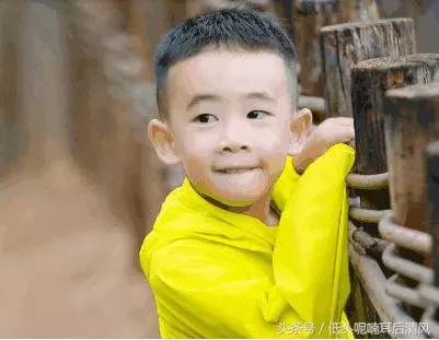 謝娜太愛jasper! 質問采兒憑什麼生個暖男?采兒的回答不愧是親媽