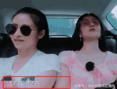 謝娜太愛jasper! 質問采兒憑什麼生個暖男?采兒的回答不愧是親媽