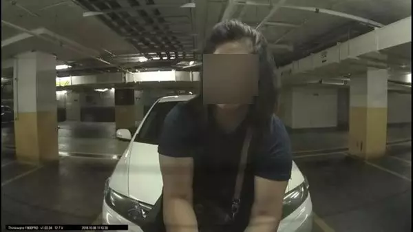 泊車場偷本田LOGO牌不果 女子干案全程被拍下