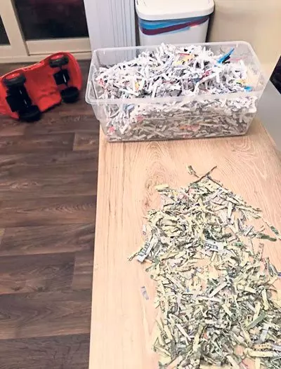 學大人使用碎紙機 2歲兒碾碎逾千美鈔