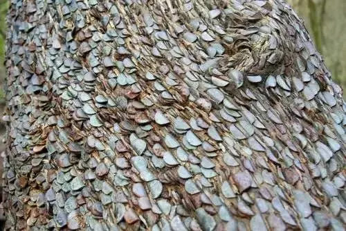 密集恐懼症有救啦,這裡有完善的治療方法!