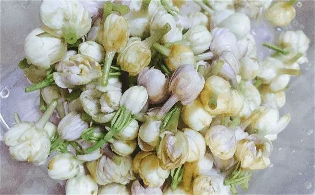 這「5種」花最養人,家裡種1棵,全家老小都健康!