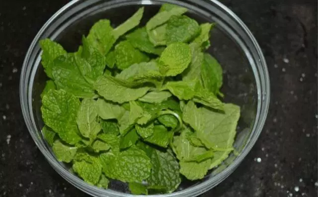 這「5種」花最養人,家裡種1棵,全家老小都健康!