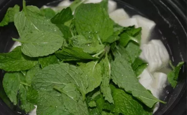 這「5種」花最養人,家裡種1棵,全家老小都健康!