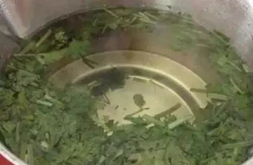 清水煮一煮,排出腎臟十年毒