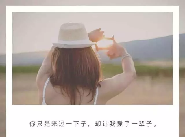 主人去世愛犬隨之消失11年後真相大白:我願一生孤獨只為愛你如初