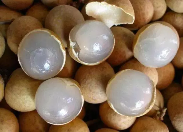 比睡覺管用!這5種抗疲勞食物,助你能量滿滿!