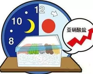 28歲男子食用隔夜菜患上「急性腎衰竭」,食物殺手再次敲響警鐘