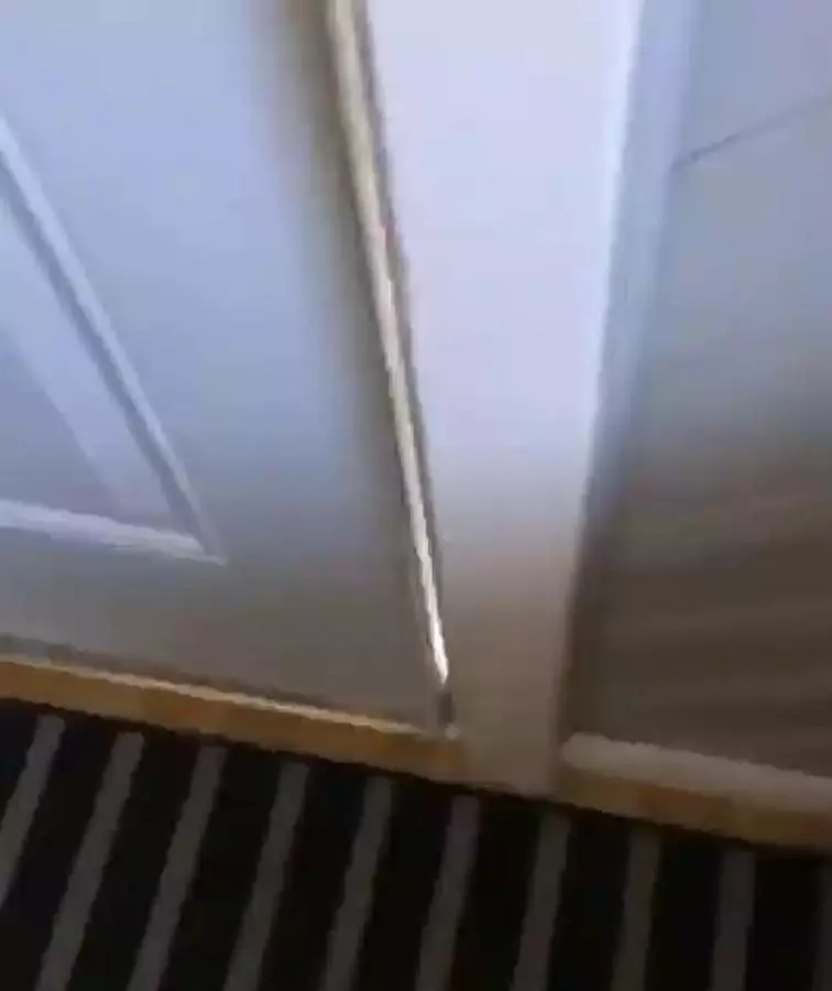奴才該起床了~貼心三花送「超驚嚇早餐」 一開門主人尖叫狂逃:走開啊啊啊!