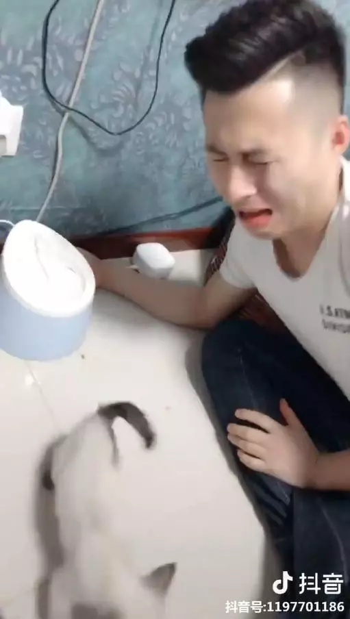 葛格趴地上示範「舔舔喝水」 奶喵不買單轉頭就跑...主銀:這我花錢買的唉QQ