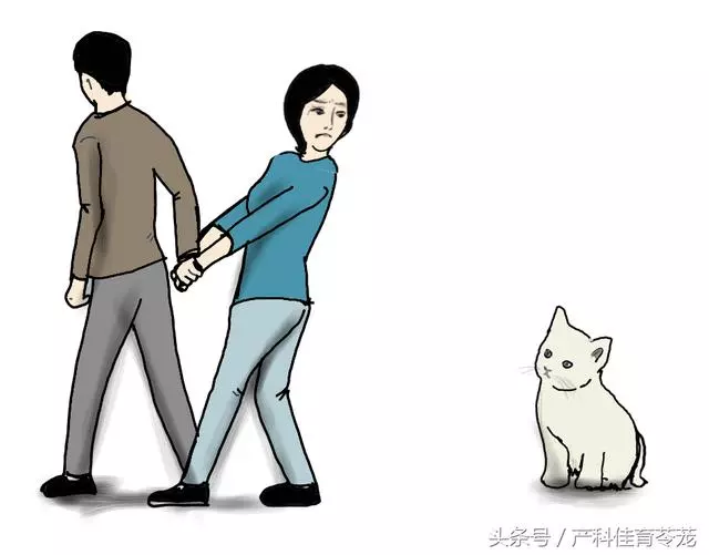 弓形蟲,不可不防也不必過防
