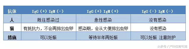 弓形蟲,不可不防也不必過防