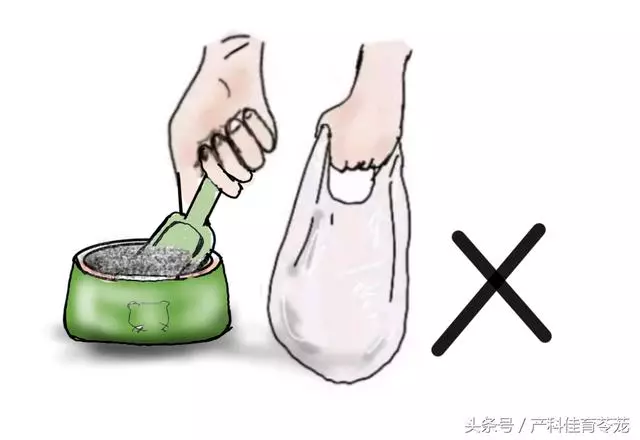 弓形蟲,不可不防也不必過防