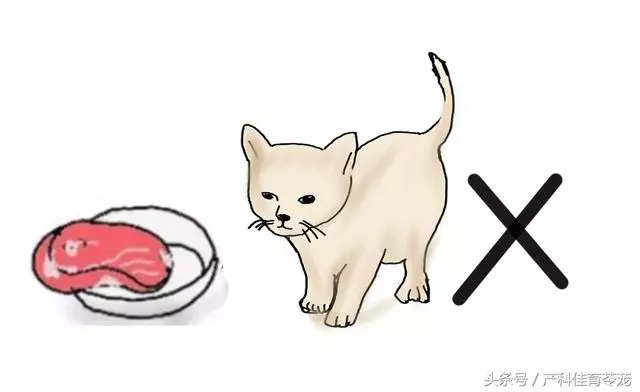 弓形蟲,不可不防也不必過防