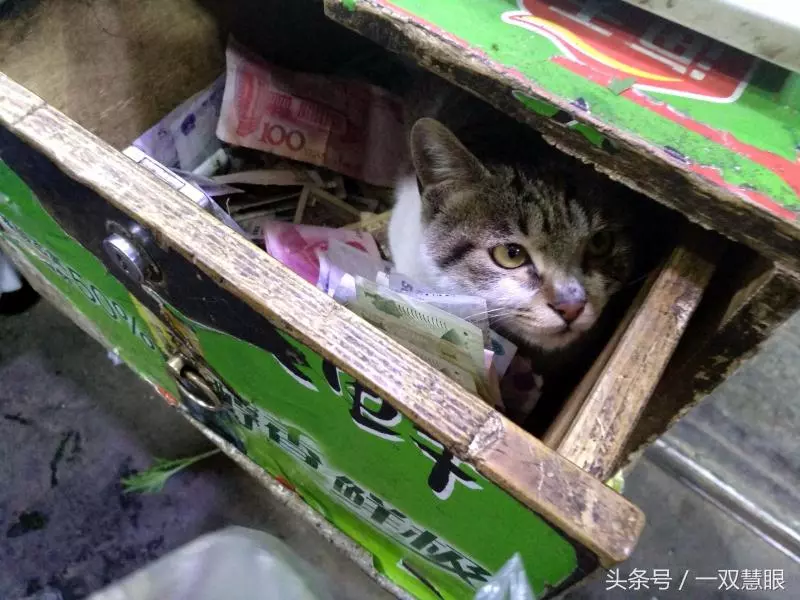 這家店的收銀櫃從不上鎖!「打開抽屜」惡狠模樣小偷也臣服:小的再也不敢了QQ