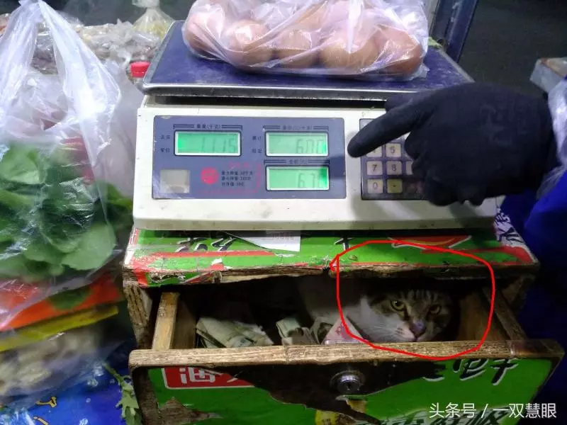這家店的收銀櫃從不上鎖!「打開抽屜」惡狠模樣小偷也臣服:小的再也不敢了QQ