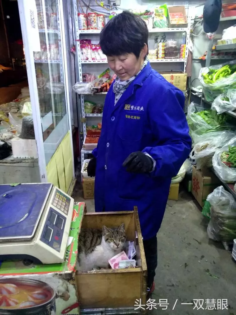 這家店的收銀櫃從不上鎖!「打開抽屜」惡狠模樣小偷也臣服:小的再也不敢了QQ