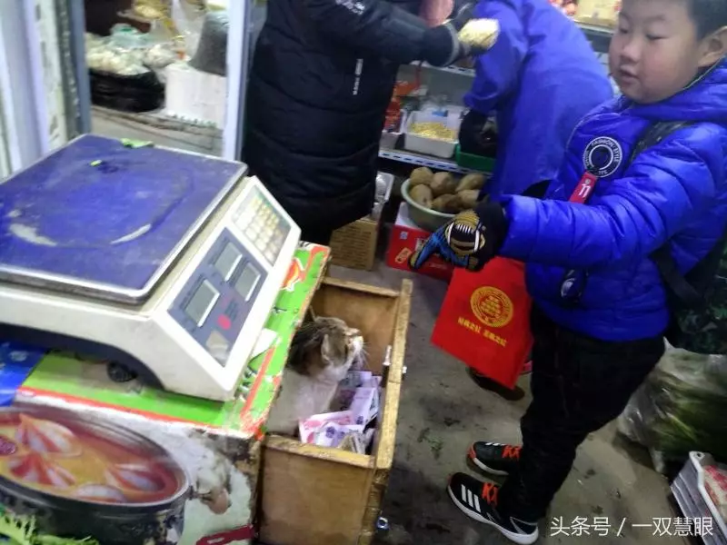 這家店的收銀櫃從不上鎖!「打開抽屜」惡狠模樣小偷也臣服:小的再也不敢了QQ