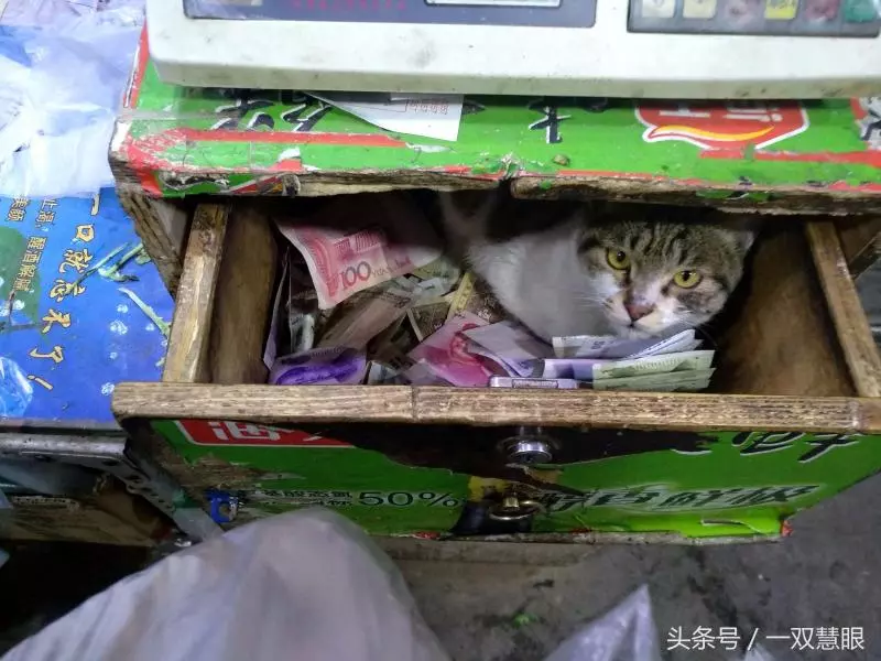 這家店的收銀櫃從不上鎖!「打開抽屜」惡狠模樣小偷也臣服:小的再也不敢了QQ