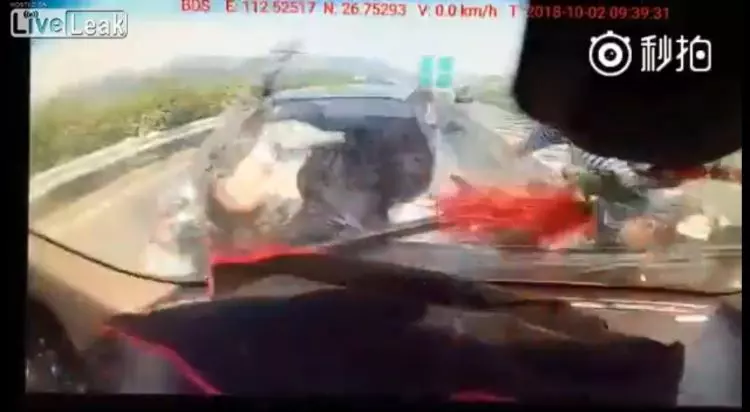 高速公路車禍不要停! 6人全下車了… 慘被「2度車禍」 網友全嚇傻(圖+影)