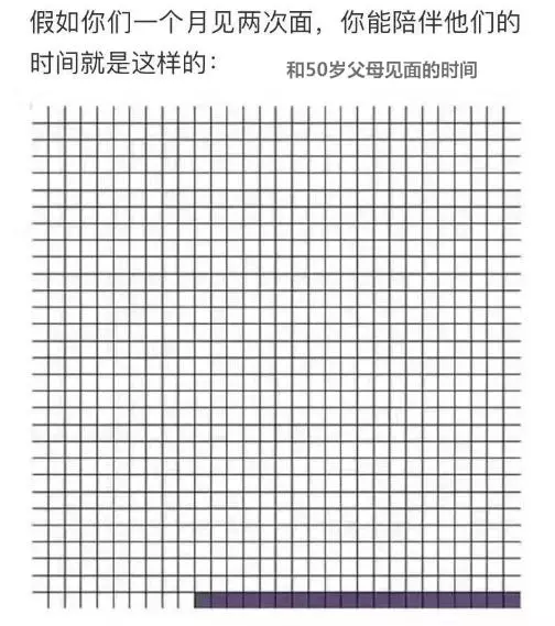 這幾個特徵表明狗狗很健康,如何照顧老年狗,讓它多活幾年