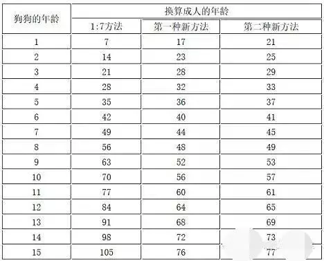 這幾個特徵表明狗狗很健康,如何照顧老年狗,讓它多活幾年