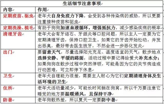 這幾個特徵表明狗狗很健康,如何照顧老年狗,讓它多活幾年