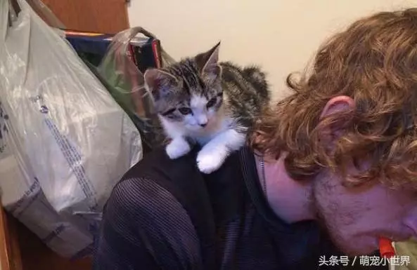 拒絕女友養貓!去收容所被怕人的小喵貼臉磨蹭,狗派男秒被收服