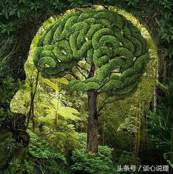 心理測試:第一眼看到什麼,測試你能守得住內心的秘密嗎?