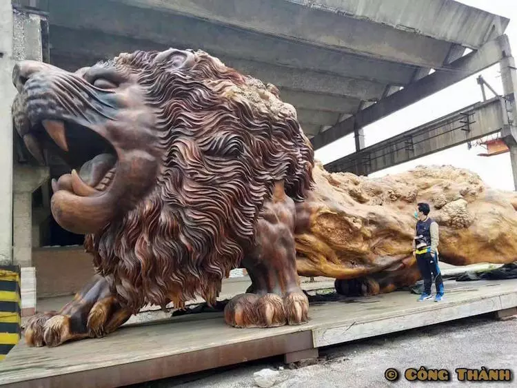 這20位神人花3年時間「將一棵樹雕刻成獅子」破世界紀錄,獅子正面霸氣到馬上跪下來了...