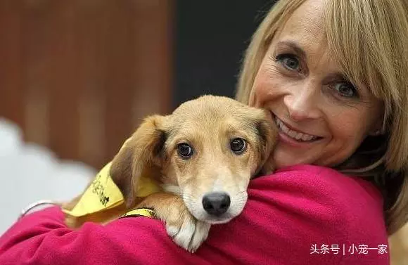 狗狗舔人的5種可能,你家狗狗屬於哪種?