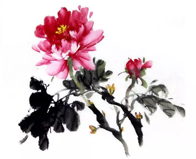 心理測試:選出你喜歡的牡丹花,測你靠什麼能發大財