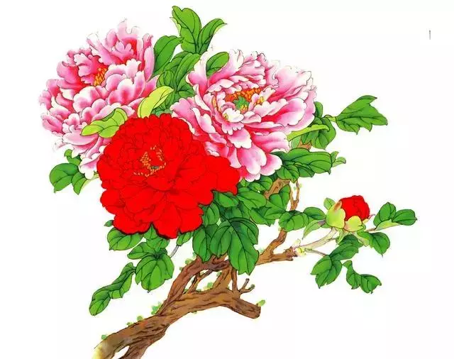 心理測試:選出你喜歡的牡丹花,測你靠什麼能發大財