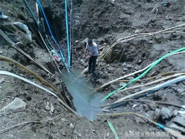 兒子下湖摸魚被淹死,母親湖邊枯坐一夜,第二天抽干湖水直接報警