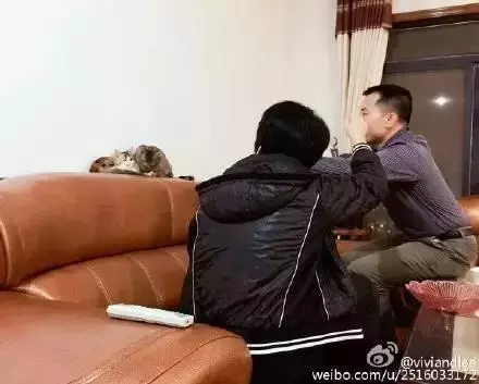 出一張嘴!那些說「養寵物哩丟災系」的爸媽 現在全「惜命命」:別帶走我金孫